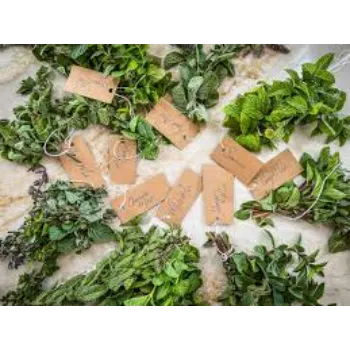 Traditional Dry Mint Leaves